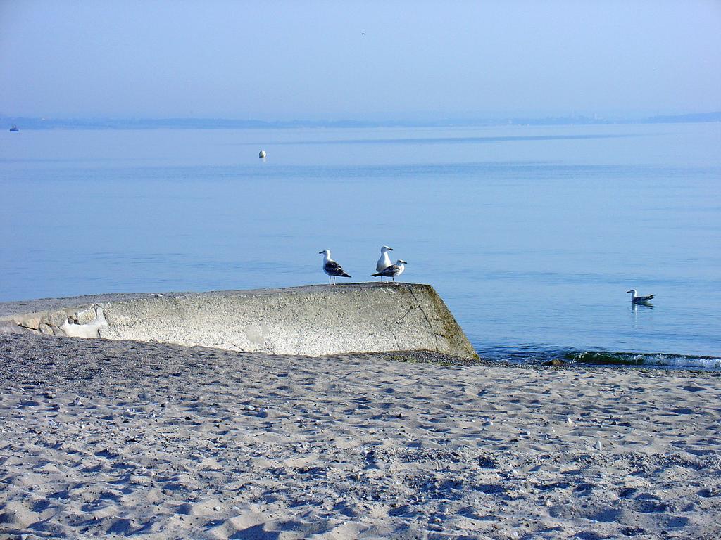 Fewo Machedanz Am Hafen Timmendorfer Strand Ot Niendorf Exterior foto